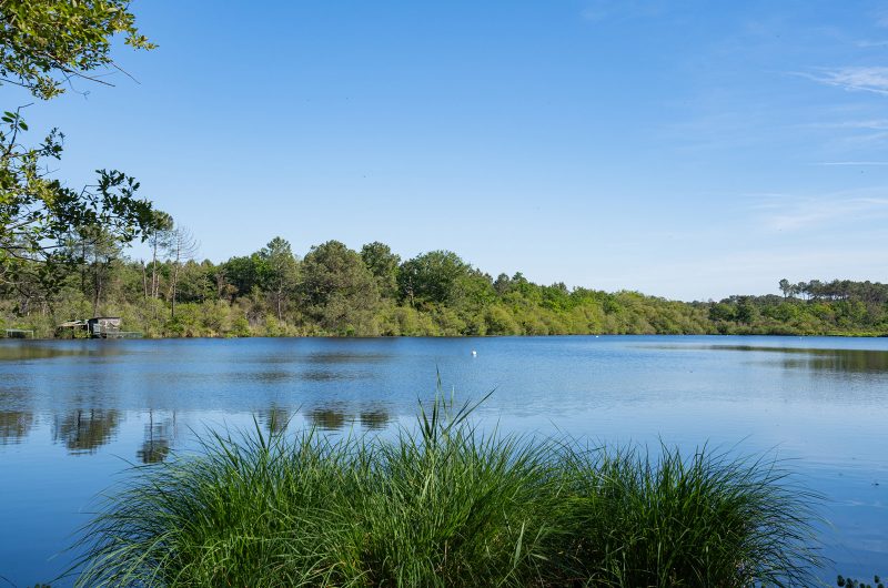 A Moliets, circuit du ruisseau de la Prade et du swing