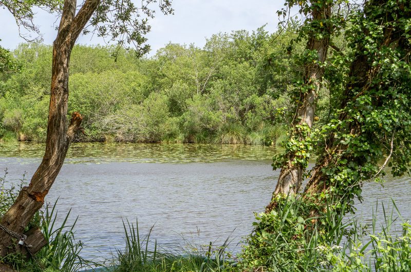 A Moliets, circuit du ruisseau de la Prade et du swing