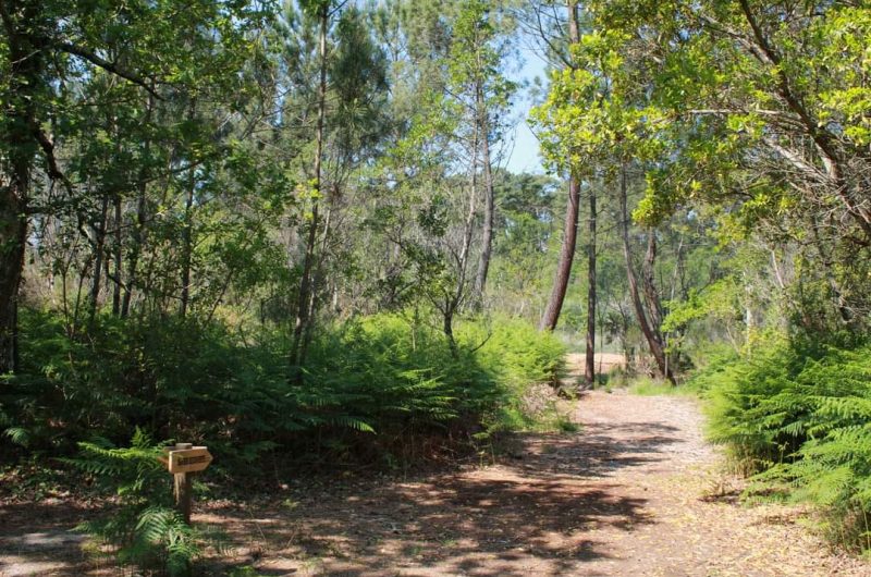 Site de la Lagune d’Hournaou