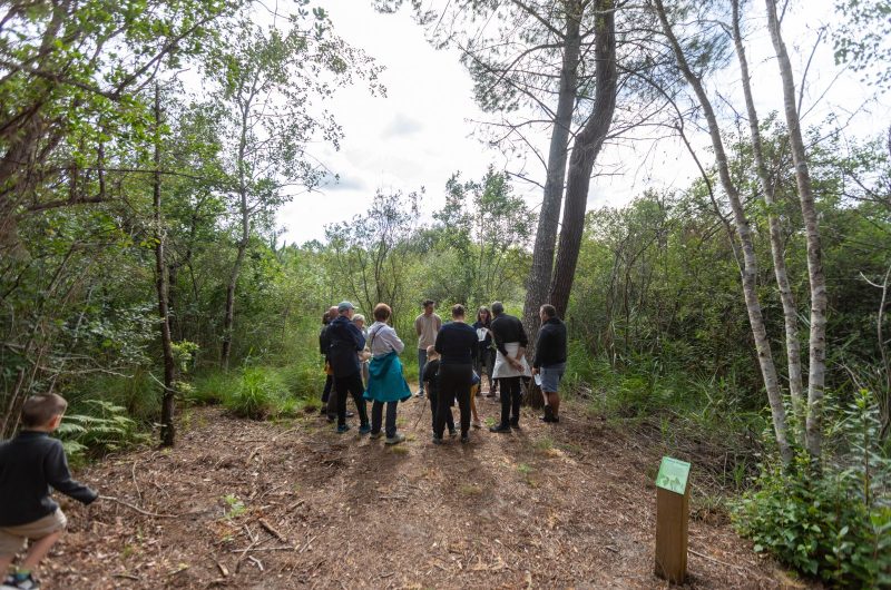 Site de la Lagune d’Hournaou